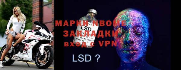 прущие грибы Аркадак