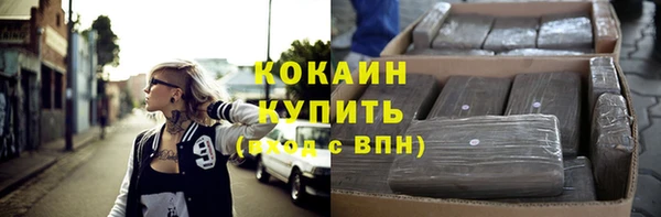 стаф Арсеньев