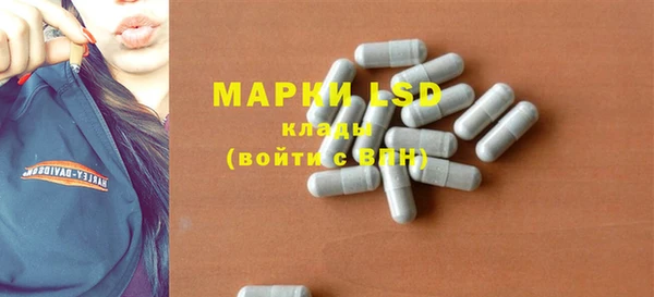 прущие грибы Аркадак