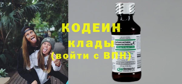 стаф Арсеньев