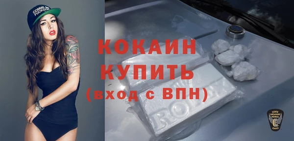 прущие грибы Аркадак