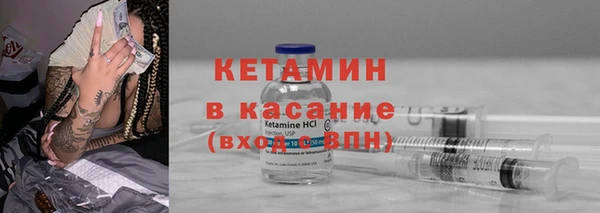 прущие грибы Аркадак