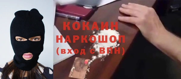прущие грибы Аркадак