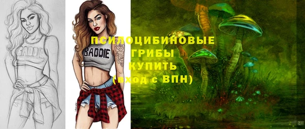 мет Армянск