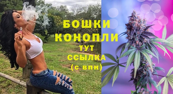 прущие грибы Аркадак