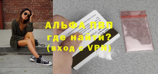 стаф Арсеньев