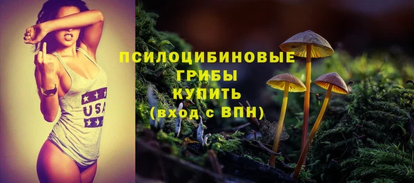 прущие грибы Аркадак