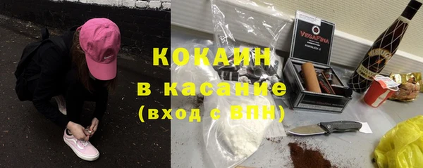 стаф Арсеньев