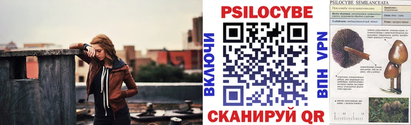 Галлюциногенные грибы Psilocybine cubensis  площадка состав  Липки  kraken как войти 